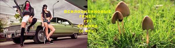 mdpv Протвино