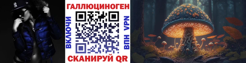 Псилоцибиновые грибы Psilocybine cubensis хочу Сусуман